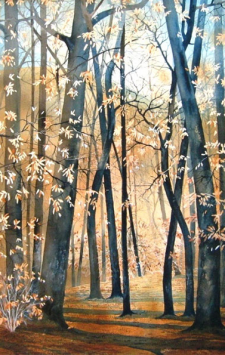 This was the image I used when I was thinking about the woods in the book.